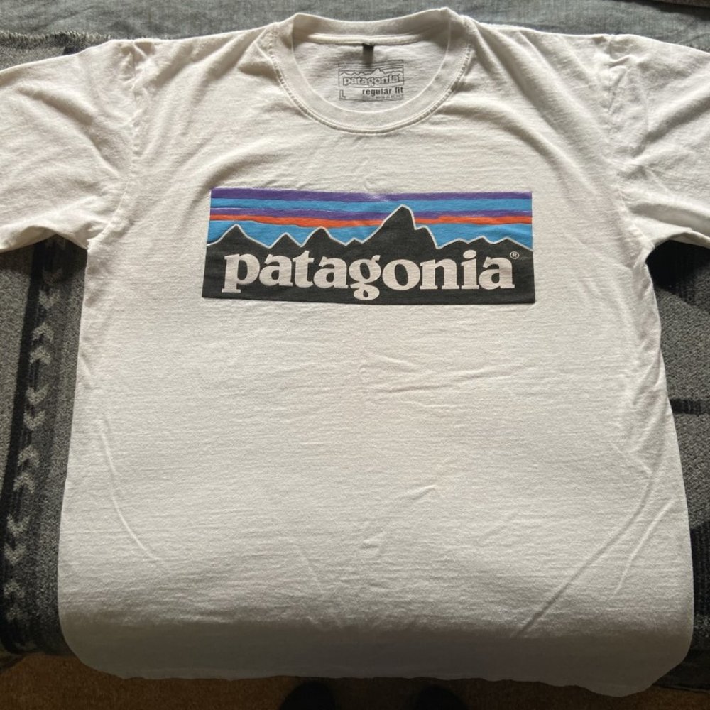 Patagonia P-6 Tee